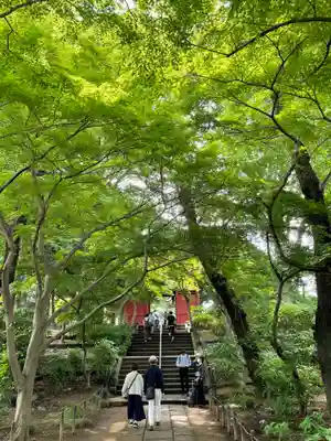 本土寺(千葉県)