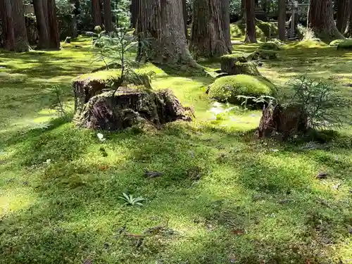 平泉寺白山神社(福井県)