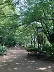 氷川神社(埼玉県)