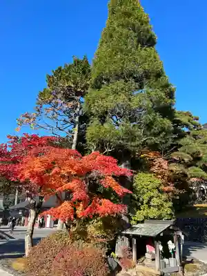 日光山輪王寺三仏堂のその他建物