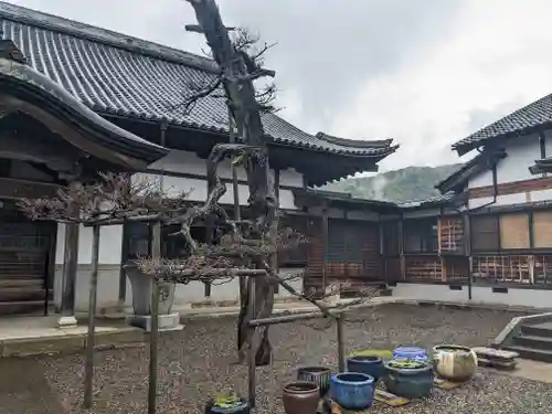 松福寺(福井県)
