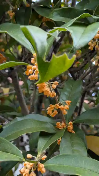 大心院(京都府)