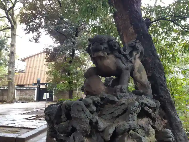 赤坂氷川神社の狛犬