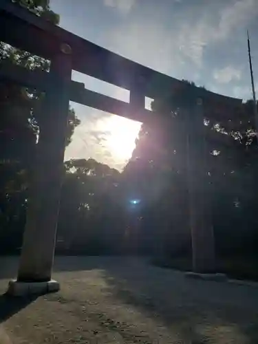 明治神宮の鳥居