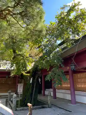 笠間稲荷神社(茨城県)