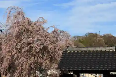 法蔵寺の山門・神門