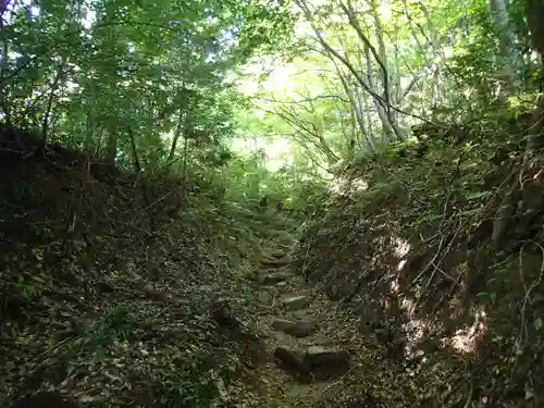 金峯神社の自然
