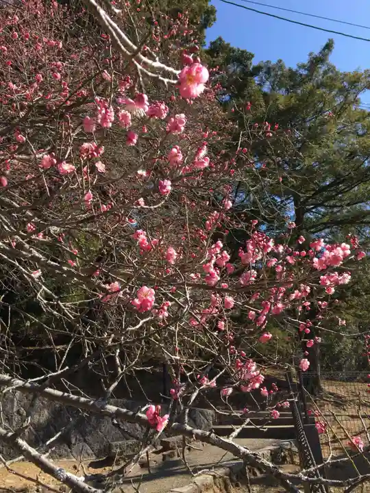 東大寺 二月堂の自然