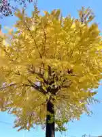 新潟市 那須山 長栄寺(新潟県)