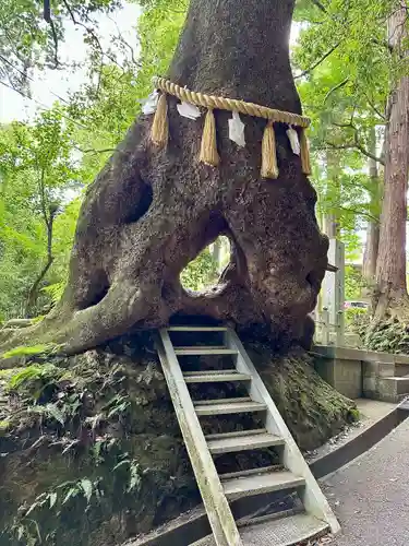 笠森寺(千葉県)