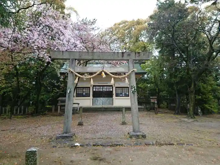 神明社(西堀江神明社)の鳥居