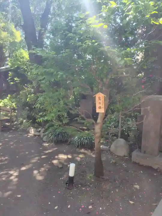 小野照崎神社(東京都)