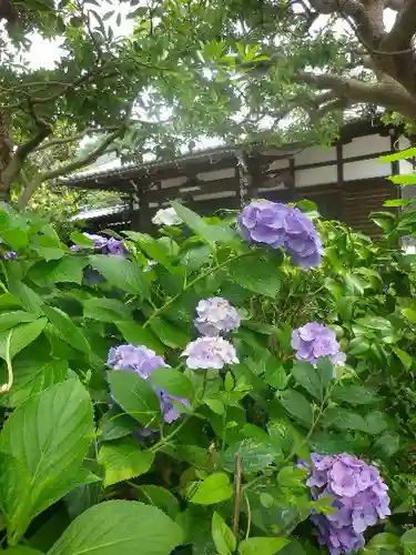 實相寺（実相寺）の庭園