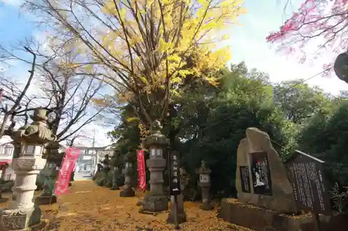 神炊館神社 ⁂奥州須賀川総鎮守⁂の景色