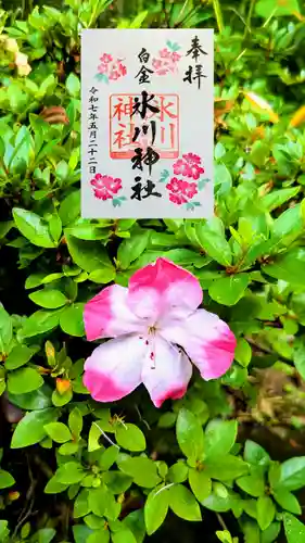 白金氷川神社の御朱印