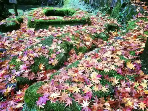 圓教寺の庭園