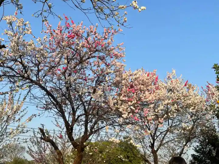 玉泉寺(東京都)