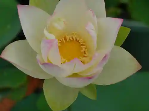 極楽山　浄土寺(北海道)