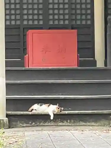 蠣崎神社(宮城県)