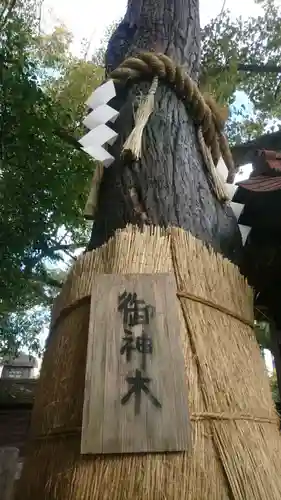 堀越神社の自然