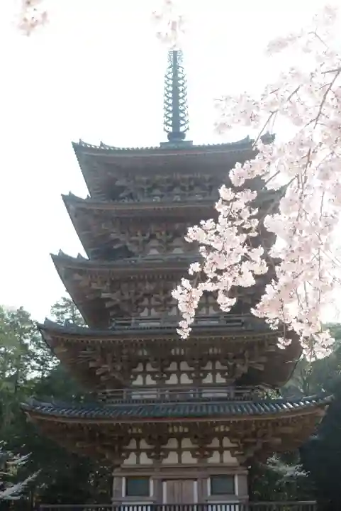醍醐寺の{uncategorized: "未分類", other: "その他", undefined: "問題あり", building: "その他建物", grave: "お墓", sacred_gate: "鳥居", guardian: "狛犬", statue: "像", buddha: "仏像", history: "歴史", nature: "自然", garden: "庭園", animal: "動物", pagoda: "塔", temizu: "手水舎", mountain_gate: "山門・神門", sanctuary: "本殿・本堂", subordinate: "末社・摂社", art: "芸術", scenery: "景色", jizo: "地蔵", ema: "絵馬", goshuin: "御朱印", omikuji: "おみくじ", items: "授与品その他", amulet: "お守り", goshuincho: "御朱印帳", eats: "食事", festival: "お祭り", votive_dance: "神楽", shichigosan: "七五三参", wedding: "結婚式", experience: "体験その他", initially: "初詣", around: "周辺", anti_infection: "感染症対策"}