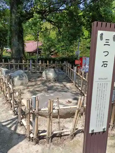津島神社の自然