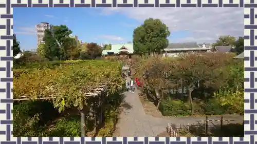 亀戸天神社(東京都)