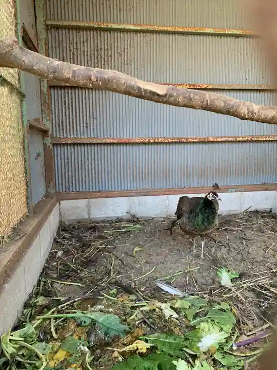 大山寺(茨城県)