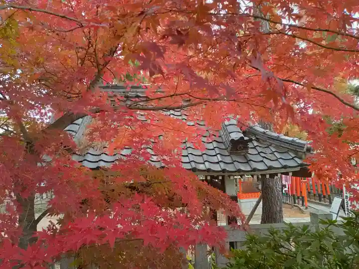 阿部野神社の自然