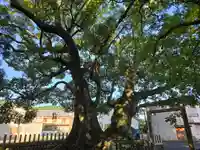 熊野三所大神社(浜の宮王子)(和歌山県)