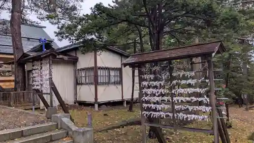 上川神社のおみくじ