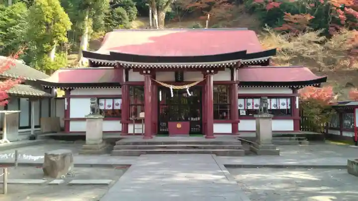 鹿児島神社(鹿児島県)