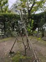 紀文稲荷神社(東京都)