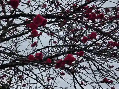 丹生都比売神社(和歌山県)