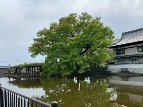 照明寺　(反町薬師尊)(群馬県)