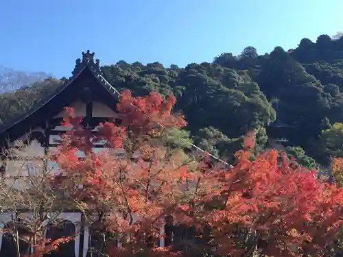 禅林寺（永観堂）の景色