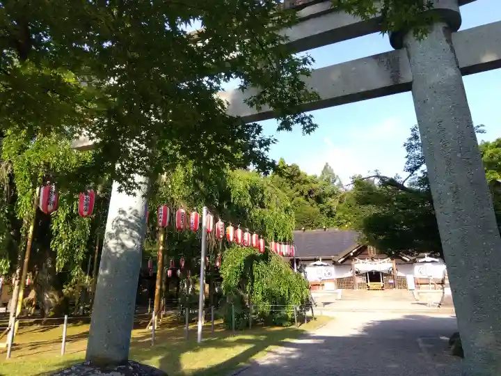 足羽神社の{uncategorized: "未分類", other: "その他", undefined: "問題あり", building: "その他建物", grave: "お墓", sacred_gate: "鳥居", guardian: "狛犬", statue: "像", buddha: "仏像", history: "歴史", nature: "自然", garden: "庭園", animal: "動物", pagoda: "塔", temizu: "手水舎", mountain_gate: "山門・神門", sanctuary: "本殿・本堂", subordinate: "末社・摂社", art: "芸術", scenery: "景色", jizo: "地蔵", ema: "絵馬", goshuin: "御朱印", omikuji: "おみくじ", items: "授与品その他", amulet: "お守り", goshuincho: "御朱印帳", eats: "食事", festival: "お祭り", votive_dance: "神楽", shichigosan: "七五三参", wedding: "結婚式", experience: "体験その他", initially: "初詣", around: "周辺", anti_infection: "感染症対策"}