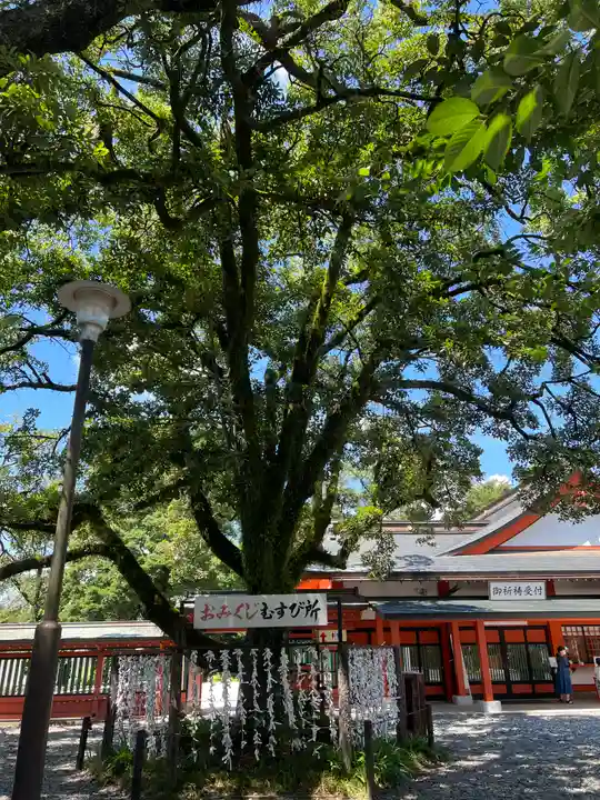 富士山本宮浅間大社(静岡県)