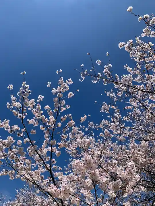 滑川神社 - 仕事と子どもの守り神(福島県)