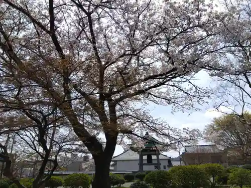 福井別院本瑞寺(福井県)