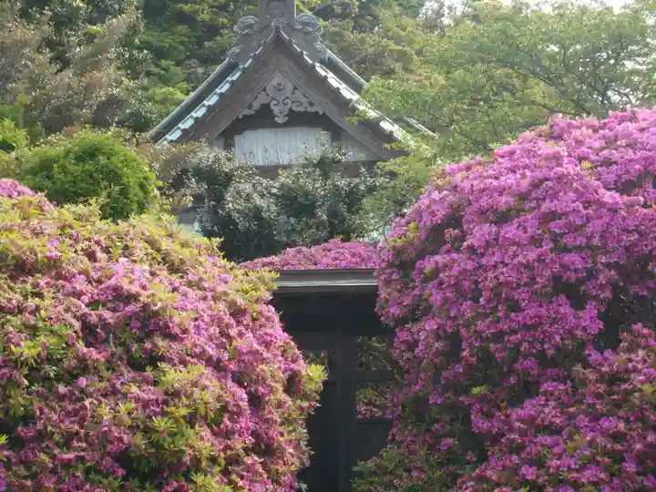 安養院 (田代寺)のその他建物