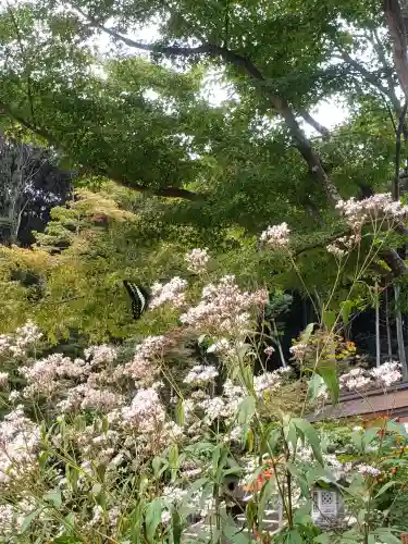 大原野神社の{uncategorized: "未分類", other: "その他", undefined: "問題あり", building: "その他建物", grave: "お墓", sacred_gate: "鳥居", guardian: "狛犬", statue: "像", buddha: "仏像", history: "歴史", nature: "自然", garden: "庭園", animal: "動物", pagoda: "塔", temizu: "手水舎", mountain_gate: "山門・神門", sanctuary: "本殿・本堂", subordinate: "末社・摂社", art: "芸術", scenery: "景色", jizo: "地蔵", ema: "絵馬", goshuin: "御朱印", omikuji: "おみくじ", items: "授与品その他", amulet: "お守り", goshuincho: "御朱印帳", eats: "食事", festival: "お祭り", votive_dance: "神楽", shichigosan: "七五三参", wedding: "結婚式", experience: "体験その他", initially: "初詣", around: "周辺", anti_infection: "感染症対策"}
