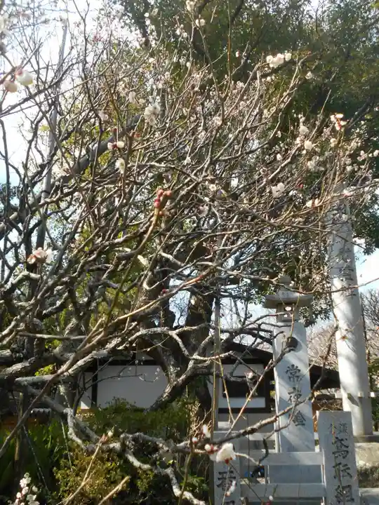 宝戒寺(神奈川県)