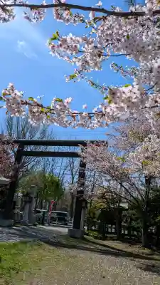 烈々布神社の{uncategorized: "未分類", other: "その他", undefined: "問題あり", building: "その他建物", grave: "お墓", sacred_gate: "鳥居", guardian: "狛犬", statue: "像", buddha: "仏像", history: "歴史", nature: "自然", garden: "庭園", animal: "動物", pagoda: "塔", temizu: "手水舎", mountain_gate: "山門・神門", sanctuary: "本殿・本堂", subordinate: "末社・摂社", art: "芸術", scenery: "景色", jizo: "地蔵", ema: "絵馬", goshuin: "御朱印", omikuji: "おみくじ", items: "授与品その他", amulet: "お守り", goshuincho: "御朱印帳", eats: "食事", festival: "お祭り", votive_dance: "神楽", shichigosan: "七五三参", wedding: "結婚式", experience: "体験その他", initially: "初詣", around: "周辺", anti_infection: "感染症対策"}