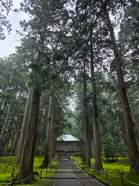 平泉寺白山神社(福井県)