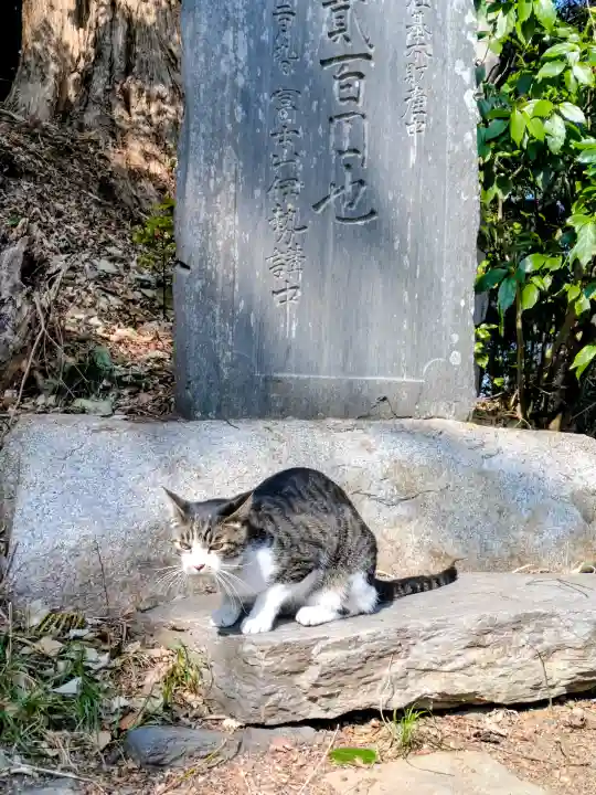 前玉神社の{uncategorized: "未分類", other: "その他", undefined: "問題あり", building: "その他建物", grave: "お墓", sacred_gate: "鳥居", guardian: "狛犬", statue: "像", buddha: "仏像", history: "歴史", nature: "自然", garden: "庭園", animal: "動物", pagoda: "塔", temizu: "手水舎", mountain_gate: "山門・神門", sanctuary: "本殿・本堂", subordinate: "末社・摂社", art: "芸術", scenery: "景色", jizo: "地蔵", ema: "絵馬", goshuin: "御朱印", omikuji: "おみくじ", items: "授与品その他", amulet: "お守り", goshuincho: "御朱印帳", eats: "食事", festival: "お祭り", votive_dance: "神楽", shichigosan: "七五三参", wedding: "結婚式", experience: "体験その他", initially: "初詣", around: "周辺", anti_infection: "感染症対策"}