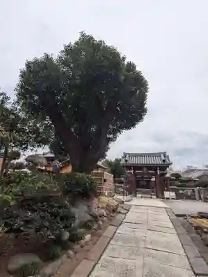 善仁寺(東京都)