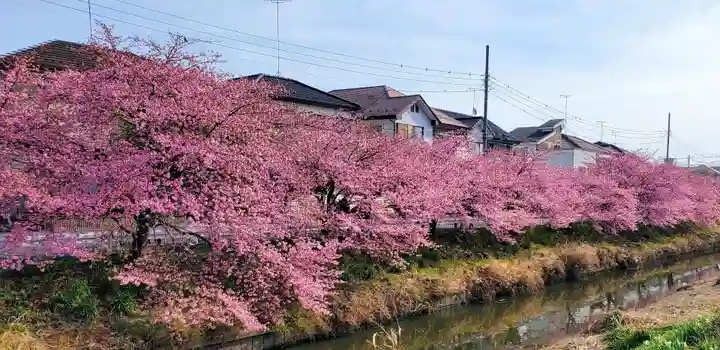 鷲宮神社(埼玉県)