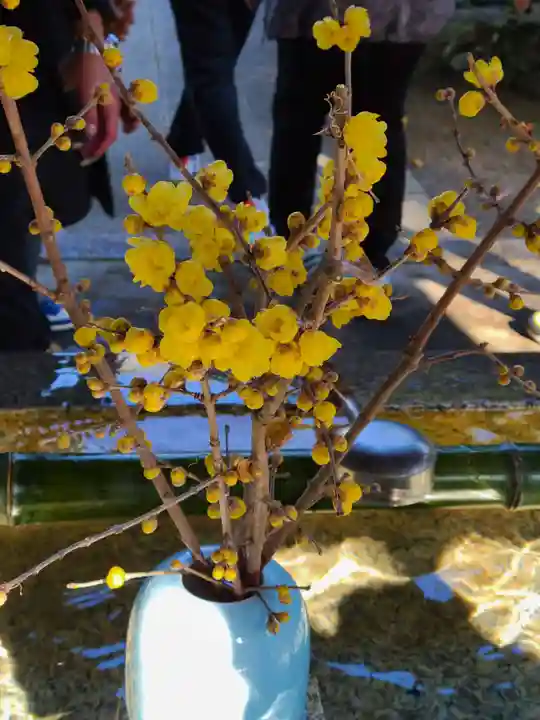 橘神社(長崎県)