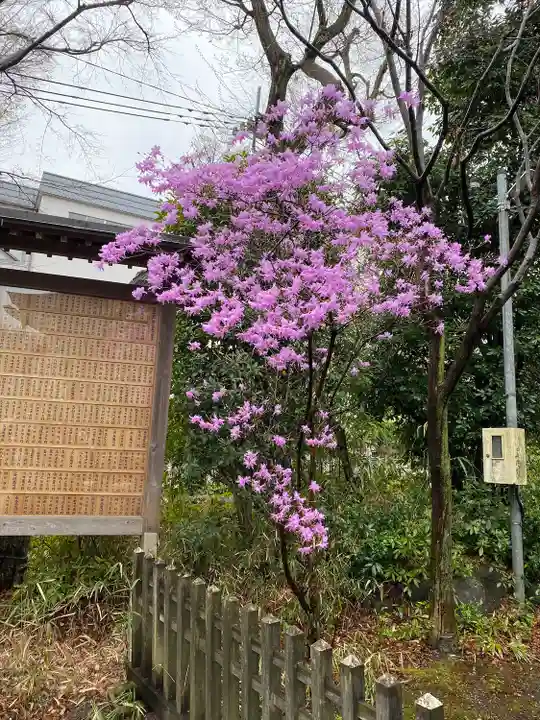 青渭神社(東京都)